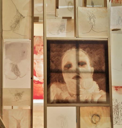 A thin wooden structure displays ink drawings of female genitalia with one portrait.