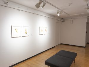 Gallery view of four small framed drawings and a grey bench.