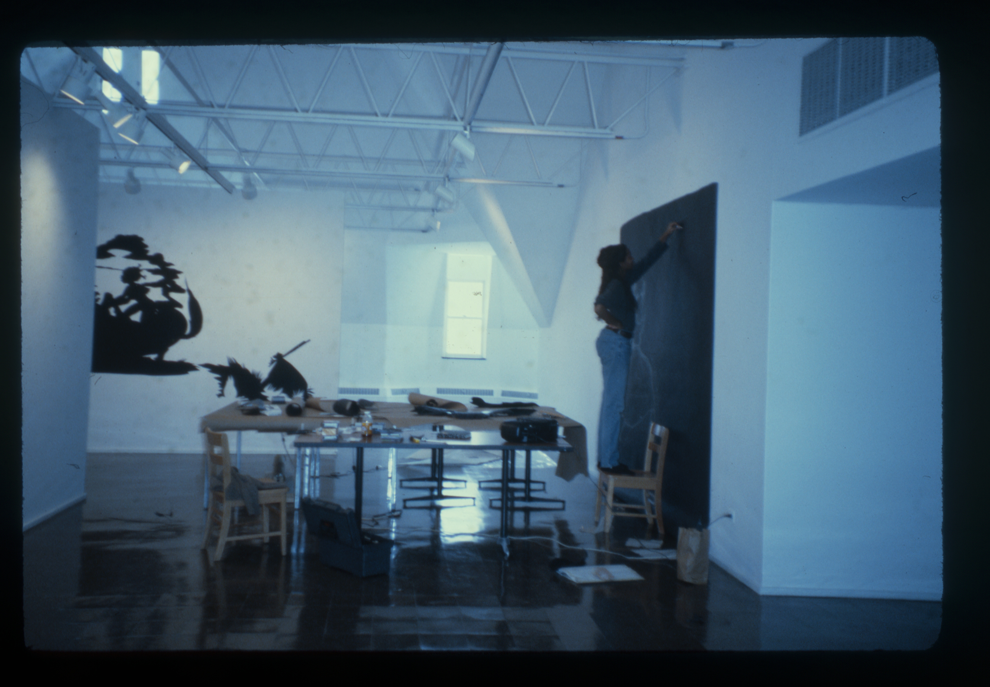 In Conversation: Kara Walker and Hamza Walker - Toward Common Cause - Sept.  27, 7 pm